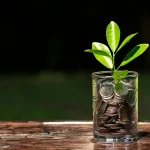Bedah Model Bisnis Bibit, Platform Robo Advisor yang Mempermudah Investasi Reksa Dana Pemula
