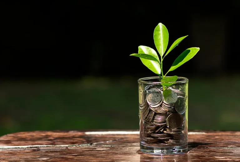 Bedah Model Bisnis Bibit, Platform Robo Advisor yang Mempermudah Investasi Reksa Dana Pemula